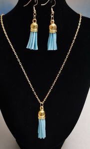 #16~NWOT. Tassel necklace and earring set.